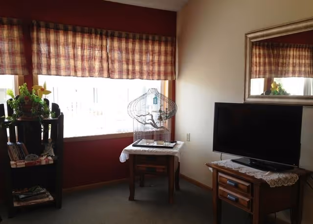 Interior living room with a TV, birdcage, bookshelf, window, plaid curtains, and mirror.