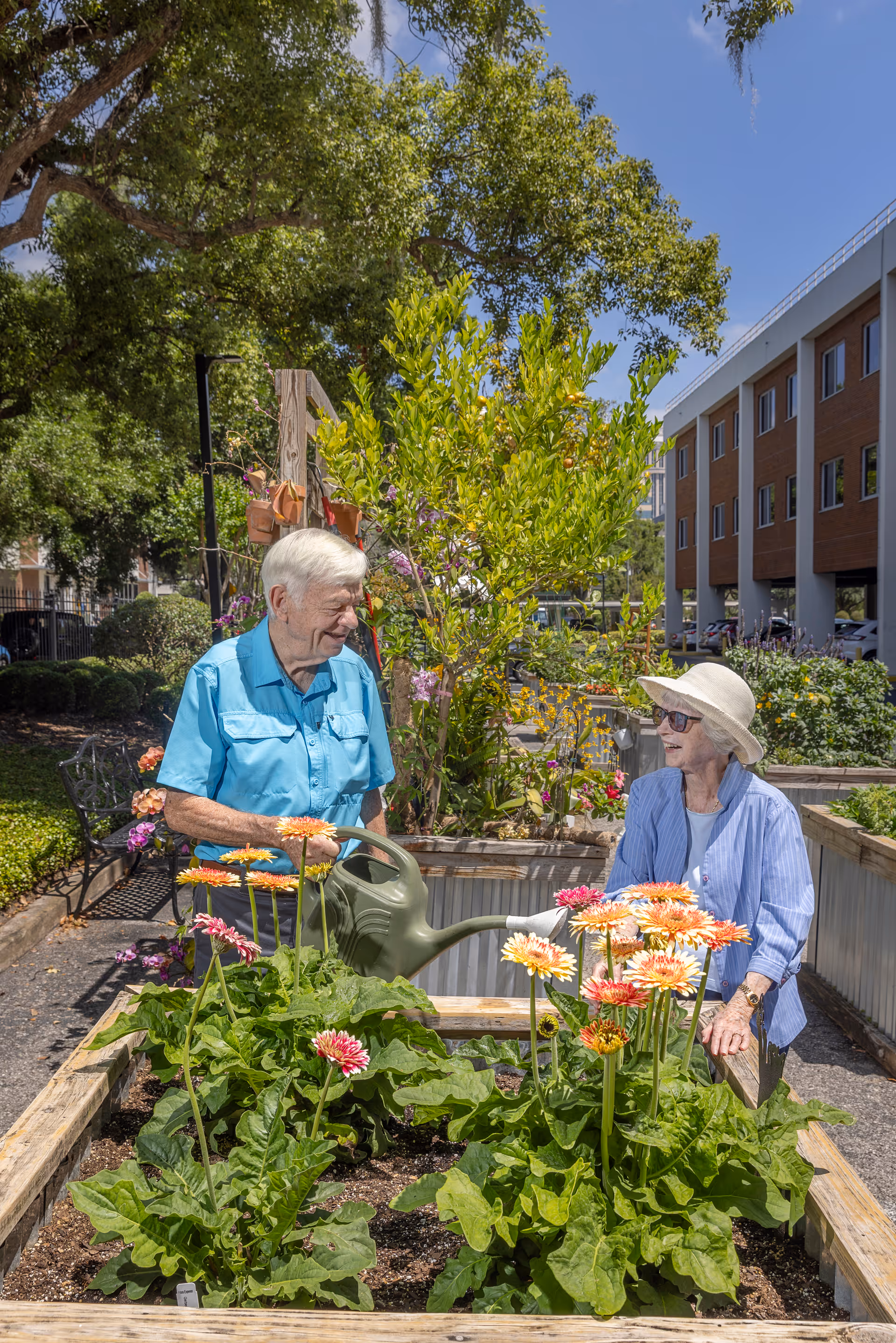 An elderly man and woman are gardening together outdoors in a raised garden bed filled with blooming flowers. The man is holding a green watering can and smiling at the woman, who is wearing a sunhat and sunglasses. They are surrounded by greenery and a building is visible in the background under a clear blue sky.