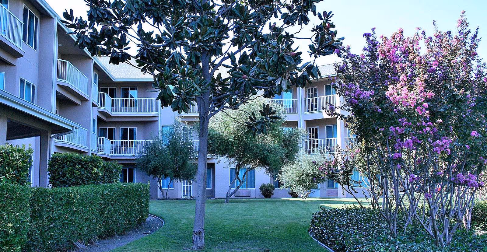 Courtyard of a multi-story senior living building with balconies, lawn, trees, and flowering shrubs.