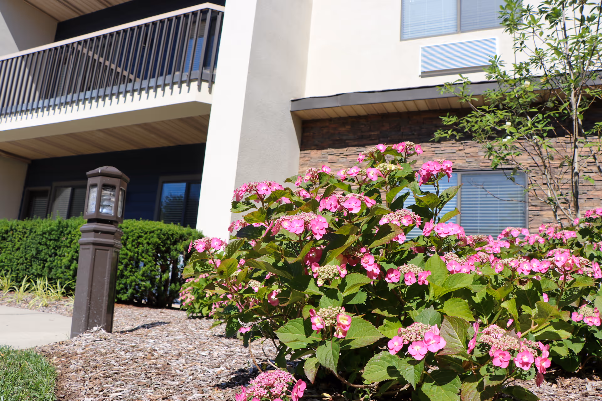 Outdoor view of a senior living facility showing a garden bed with pink flowers and green bushes in front of a beige building with windows and a balcony.