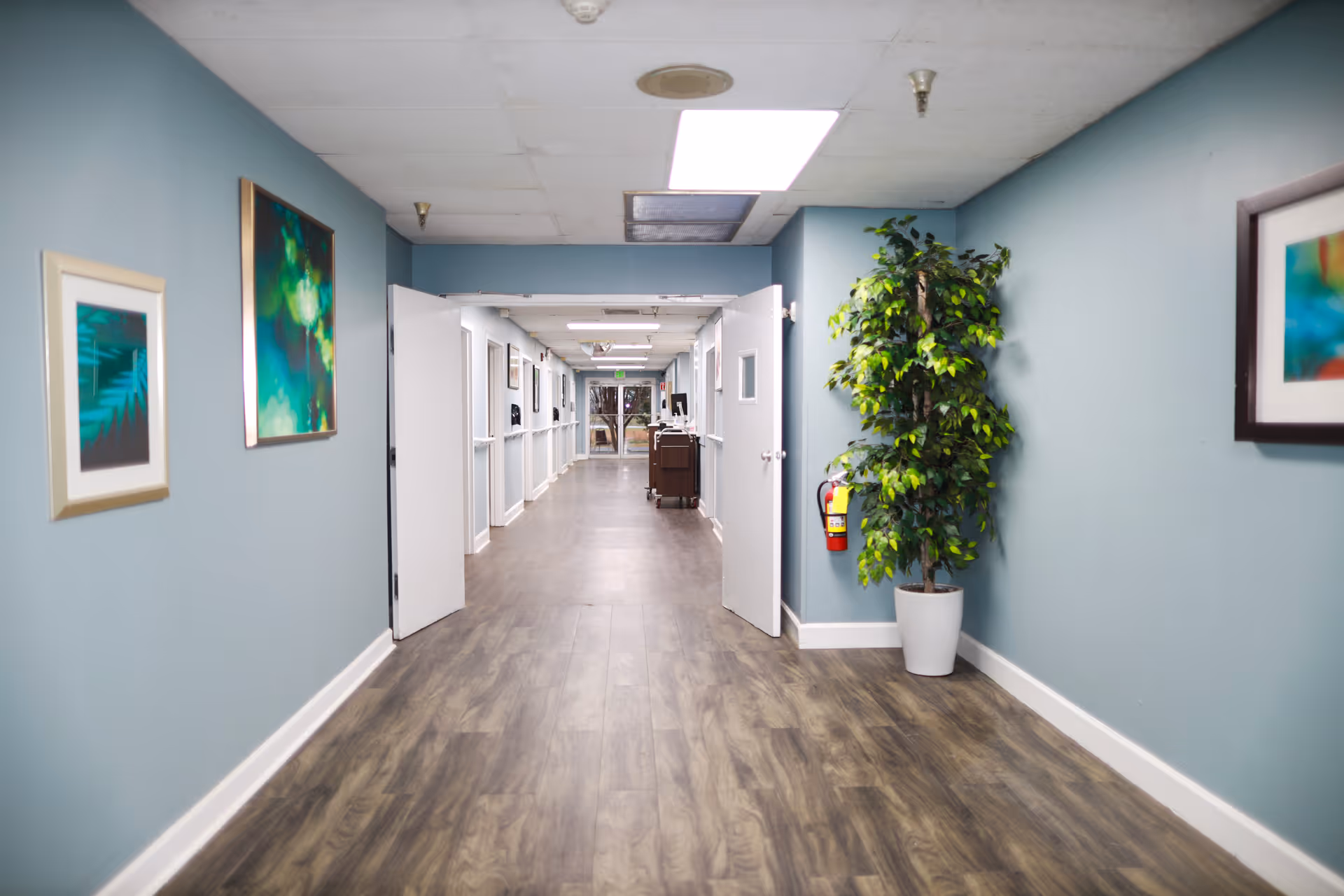 A long, clean hallway in a healthcare facility with light blue walls, wood-patterned flooring, and white double doors open in the middle. The hallway is decorated with framed abstract artwork on the walls and a potted plant with green leaves near the doors. Ceiling lights illuminate the corridor, and a fire extinguisher is mounted on the right wall.