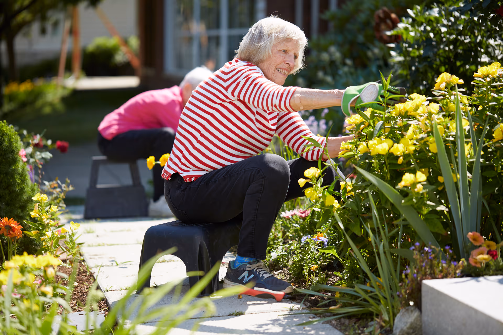 An elderly woman wearing a red and white striped shirt and black pants is gardening outdoors, tending to yellow flowers while sitting on a small black stool. Another person in a pink shirt is also gardening in the background.