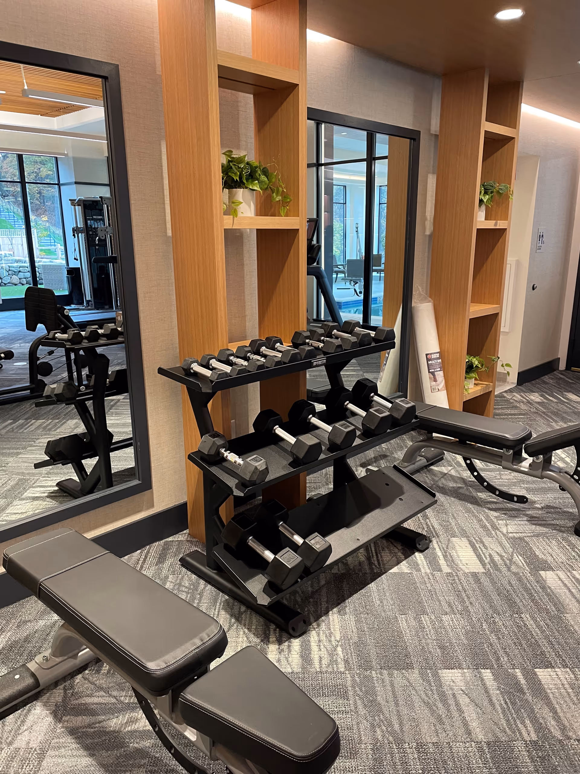 Interior fitness room with a rack of dumbbells, adjustable benches, mirrors, and wooden shelving with plants.