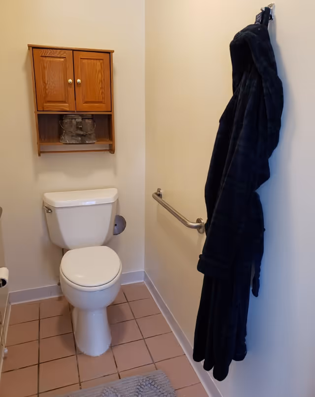 A small bathroom with a white toilet, a wooden cabinet mounted on the wall above the toilet, a metal grab bar on the right wall, a dark-colored bathrobe hanging on a hook, and a gray bath mat on the tiled floor.