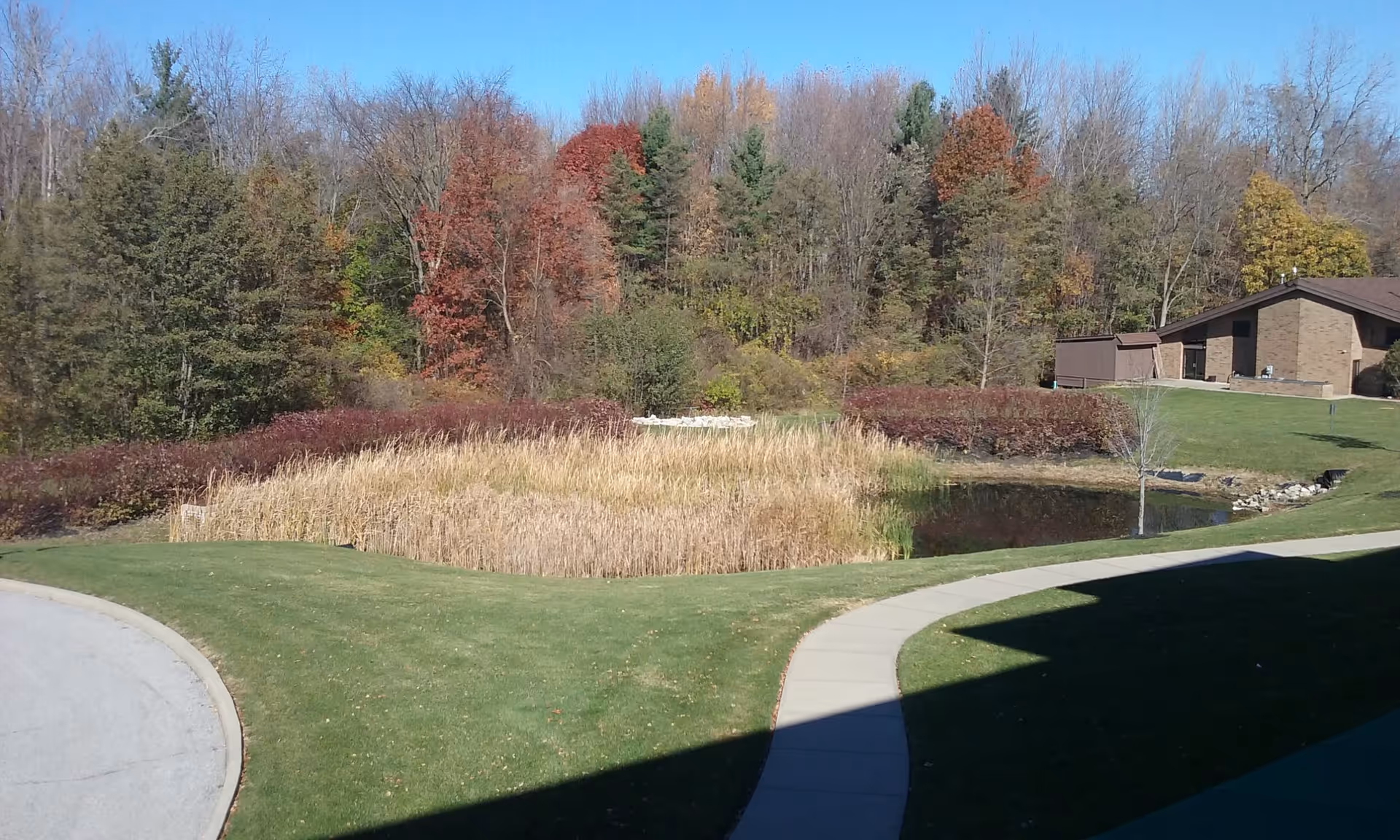 Outdoor scene at Otterbein North Olmsted SeniorLife Community showing a curved sidewalk, green lawn, a small pond surrounded by tall grasses, and a backdrop of trees with autumn foliage under a clear blue sky. A building is visible on the right side.