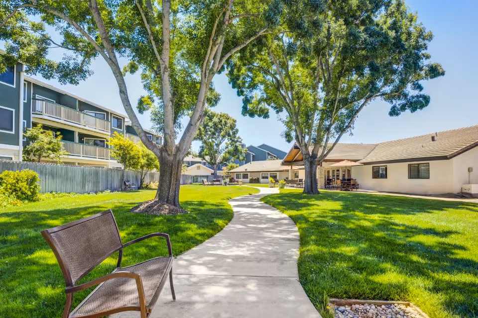 A sunny outdoor garden area at Madonna Gardens Assisted Living & Memory Care featuring a curved concrete walkway, green grass, large trees providing shade, a brown metal bench, and buildings with patios and balconies in the background.