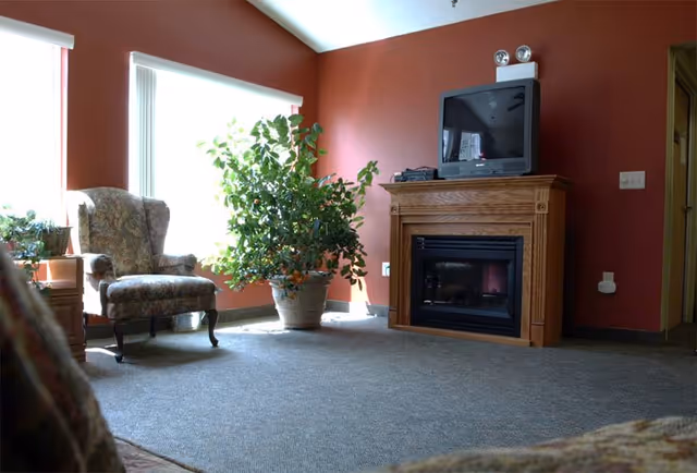 A cozy living room with a large potted plant near two tall windows with white blinds. There is a floral upholstered armchair to the left and a wooden fireplace with a TV on top against a red wall. The floor is carpeted in gray.