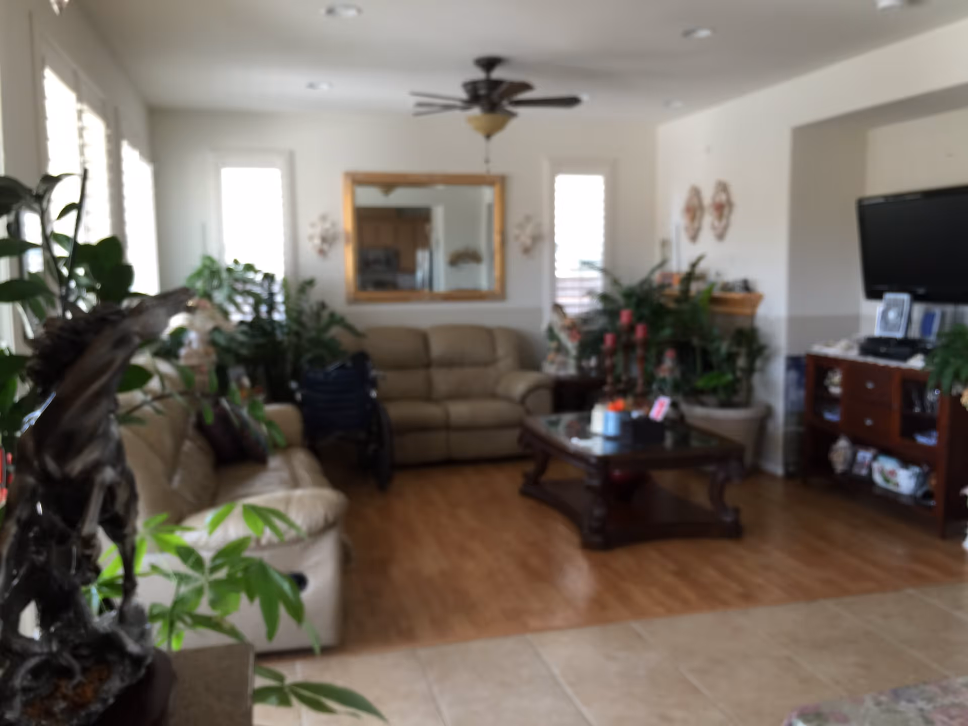 Cozy living room with beige sofas, a central coffee table, TV cabinet and numerous plants.