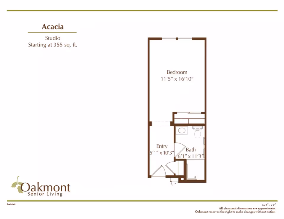 Floor plan of a studio apartment named Acacia at Oakmont Senior Living, showing a bedroom measuring 11'5" by 16'10", an entry area measuring 5'1" by 10'3", and a bathroom measuring 6'1" by 11'3".