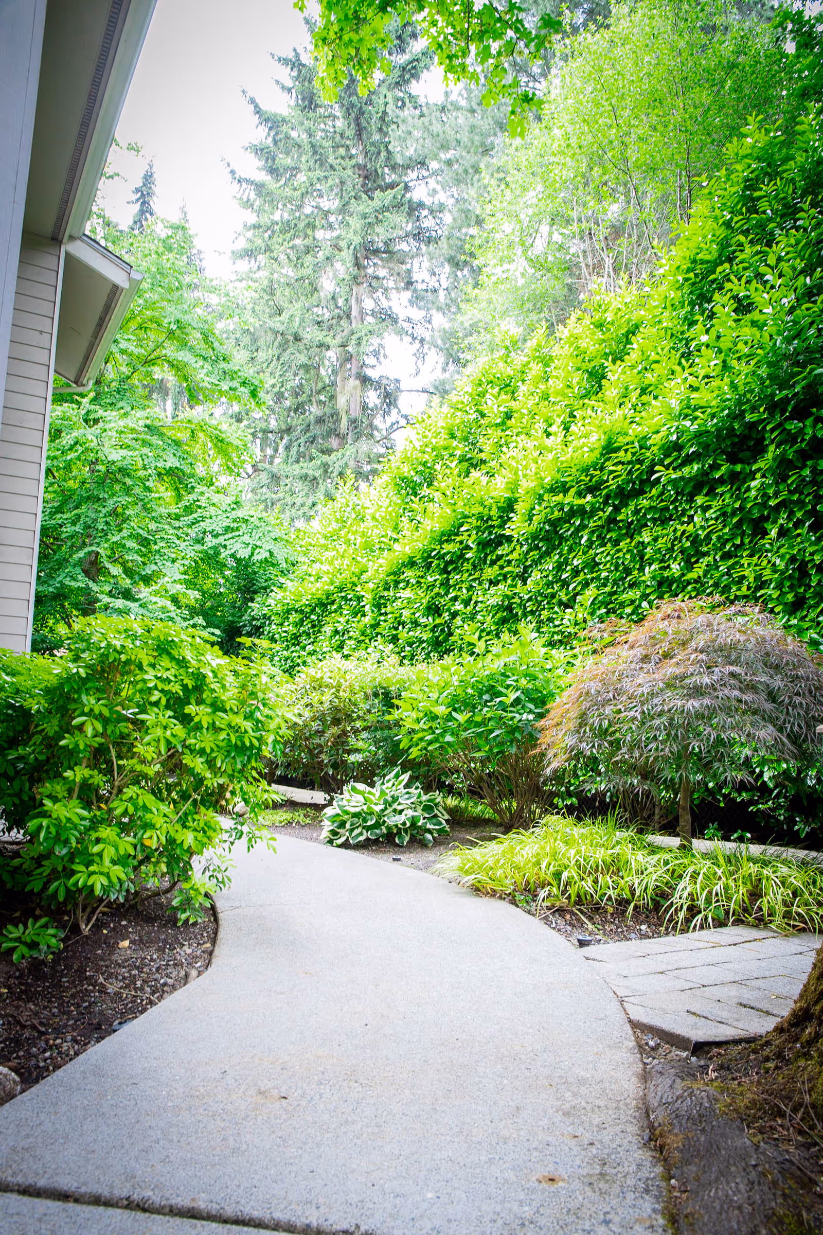 A curved concrete pathway surrounded by lush green bushes and trees, with part of a building visible on the left side.