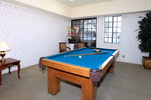 A room with a pool table in the center, featuring a blue felt surface with billiard balls and a cue stick on it. The room has patterned wallpaper, a carpeted floor, two wooden chairs with cushions, a small table with a lamp, a large window with black frames, and a potted plant in the corner.