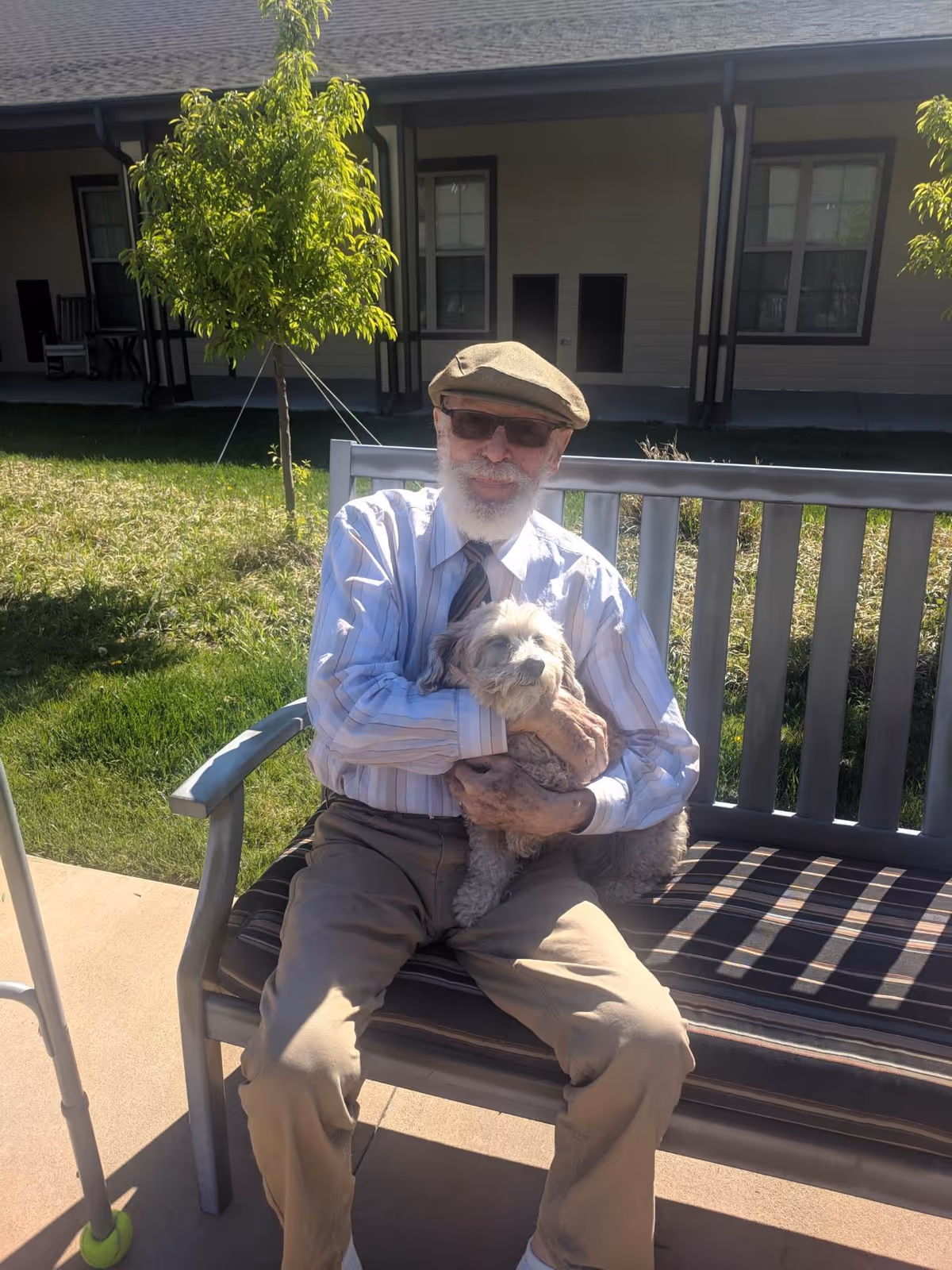 An elderly man wearing a beige flat cap, sunglasses, a striped shirt, and a tie is sitting on a bench outside on a sunny day, holding a small fluffy dog in his arms. Behind him is a building with windows and a small tree on a grassy area.