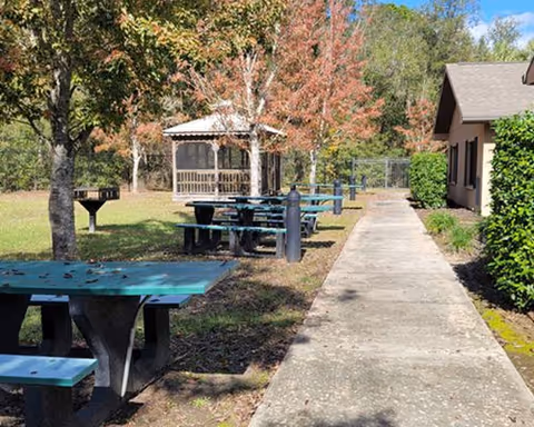 Outdoor area with several teal picnic tables and benches on grass next to a concrete walkway. There is a barbecue grill near the tables and a gazebo surrounded by trees with autumn-colored leaves. A building with a brown roof and beige walls is visible on the right side, and a hedge runs alongside the walkway.