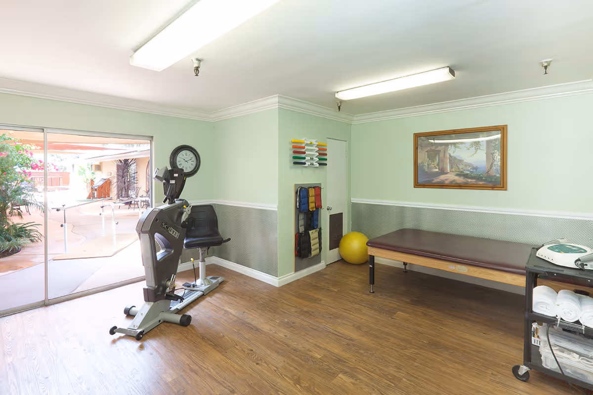 A small exercise and therapy room with a stationary exercise bike, a padded therapy table, a yellow exercise ball, and a rack holding colorful weights and padded straps. The room has light green walls with a white chair rail and wood flooring. A large sliding glass door opens to an outdoor patio area with plants and handrails. A framed landscape painting hangs on the wall above the therapy table.