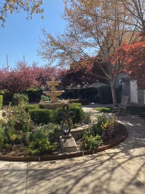 A sunny outdoor garden area with a multi-tiered stone fountain surrounded by various plants and flowers. A curved paved walkway leads around the garden, with trees showing autumn colors and a building visible in the background. There is also a decorative metal sculpture near the fountain.