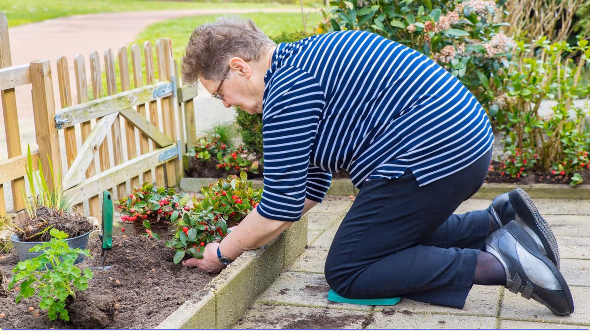 An elderly woman wearing a blue and white striped shirt and black pants is kneeling on a patio while planting flowers in a garden bed next to a wooden fence.
