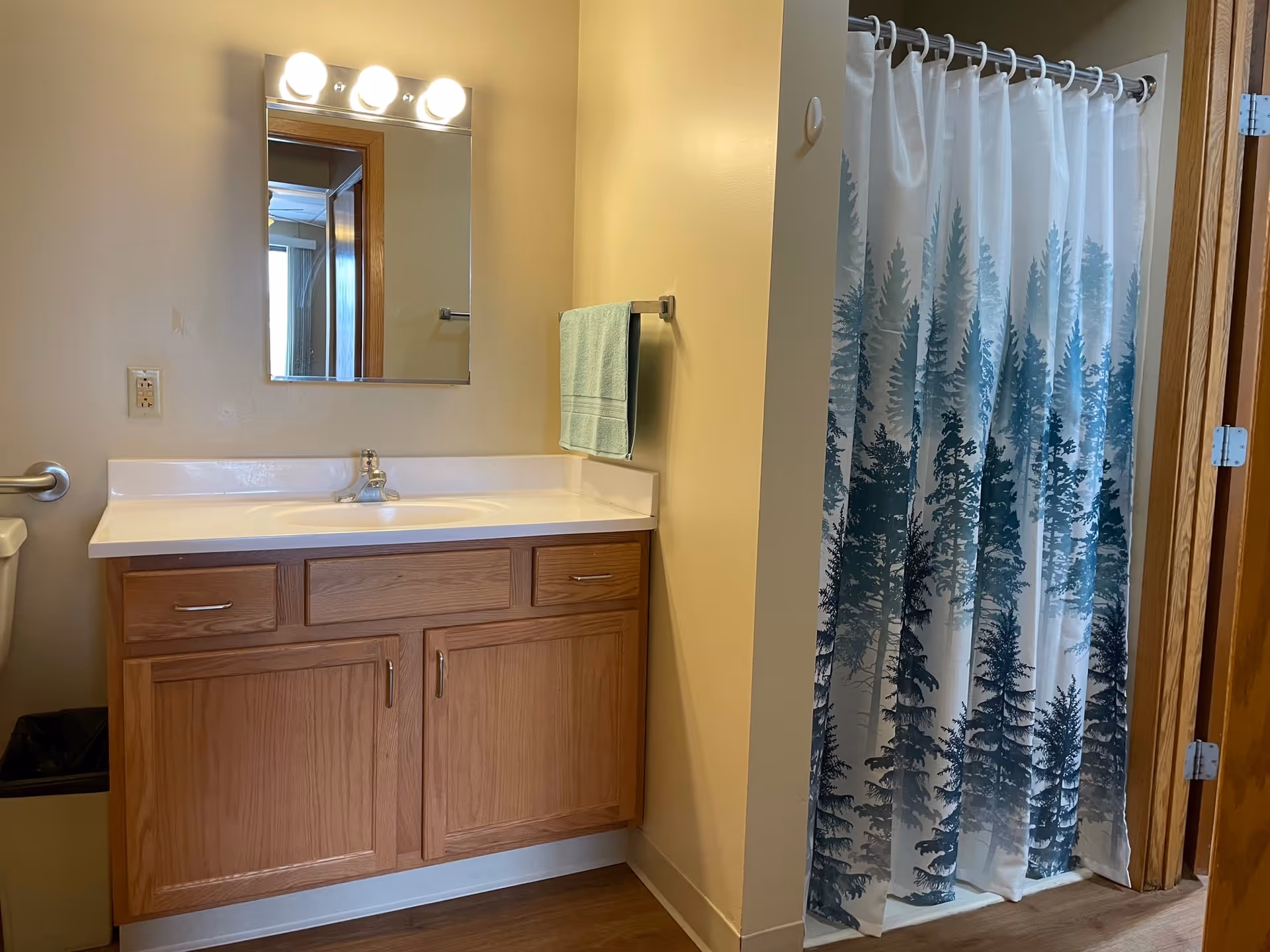 Bathroom with a wooden vanity cabinet, white countertop and sink, a mirror with three lights above it, a towel rack with a green towel, and a shower area with a curtain featuring a blue and white tree pattern.