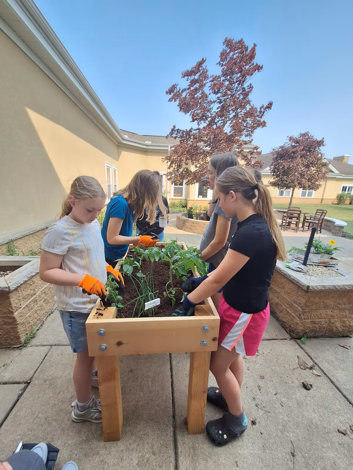 Four young girls wearing gloves are gardening together around a raised wooden planter filled with soil and small plants. They are outdoors on a paved patio area with a beige building and trees with red leaves in the background.