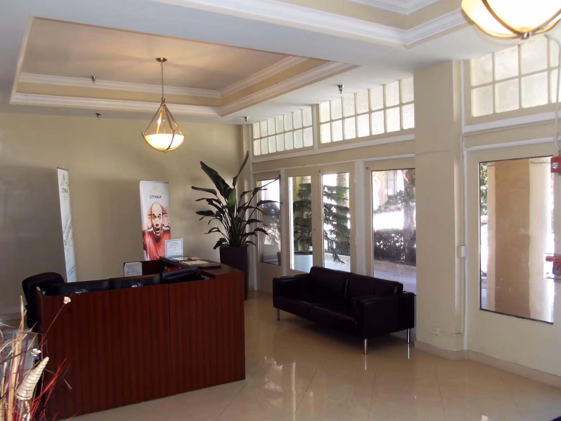 Reception area with a wooden desk, two computer monitors, a black leather couch, large potted plant, and glass doors with windows letting in natural light.