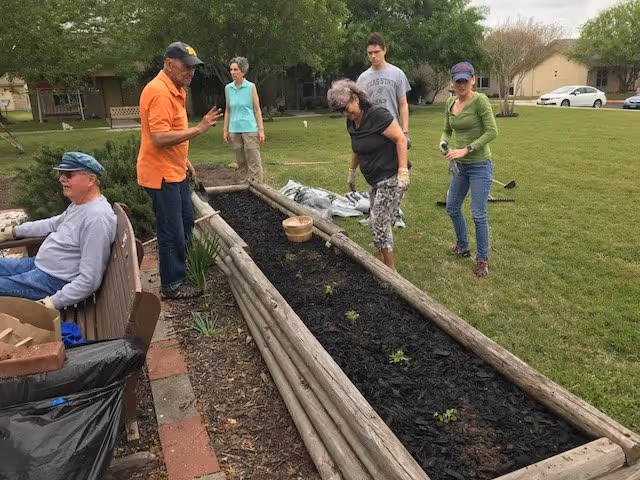 A group of five people gardening together around a raised wooden garden bed filled with soil and small plants. They are outdoors on a grassy area with trees and houses in the background. One person is sitting on a bench to the left, while the others stand around the garden bed, engaged in planting activities.