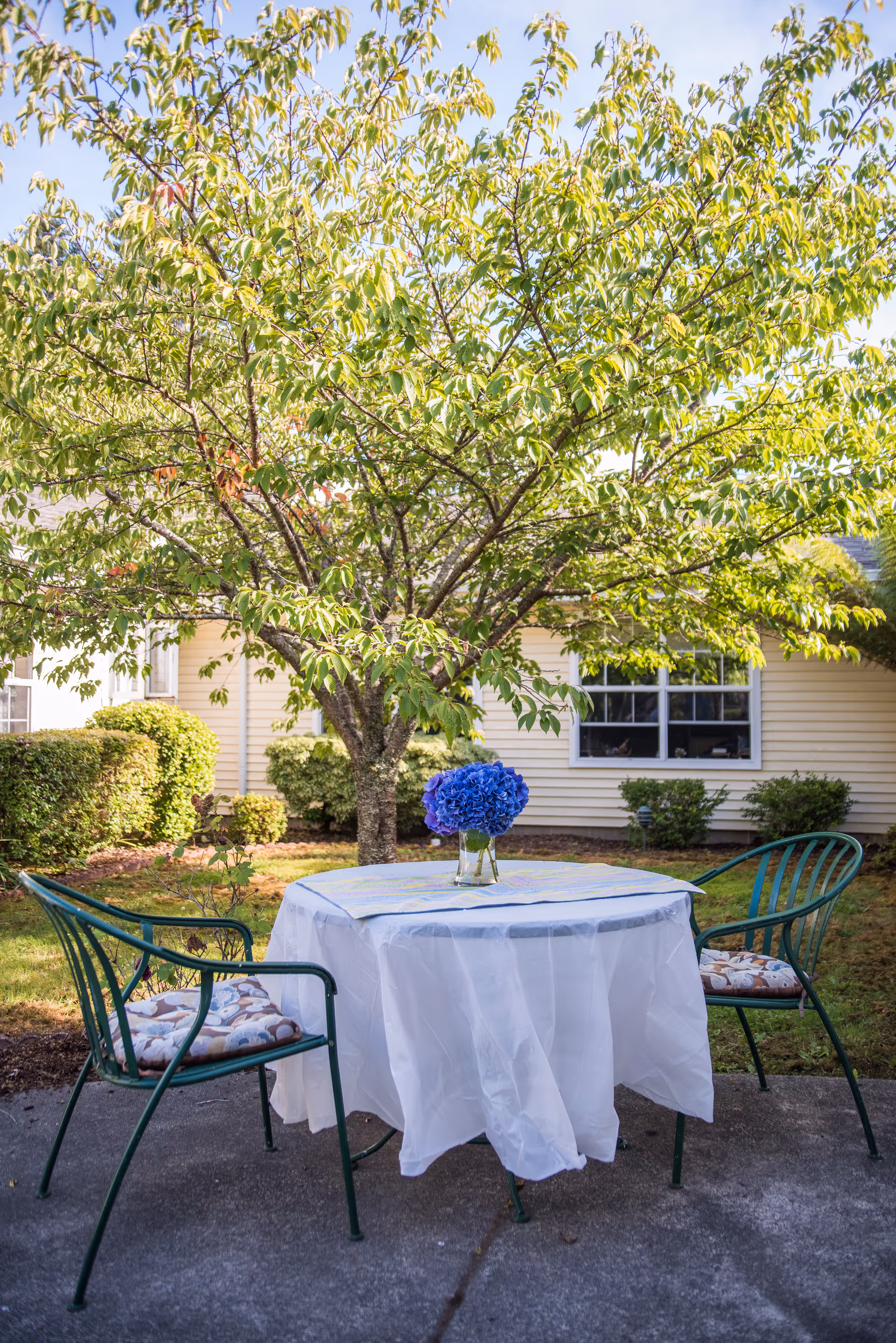 Outdoor patio with a round table covered by a white cloth, a vase of blue flowers, and two green chairs under a tree in front of a beige building.