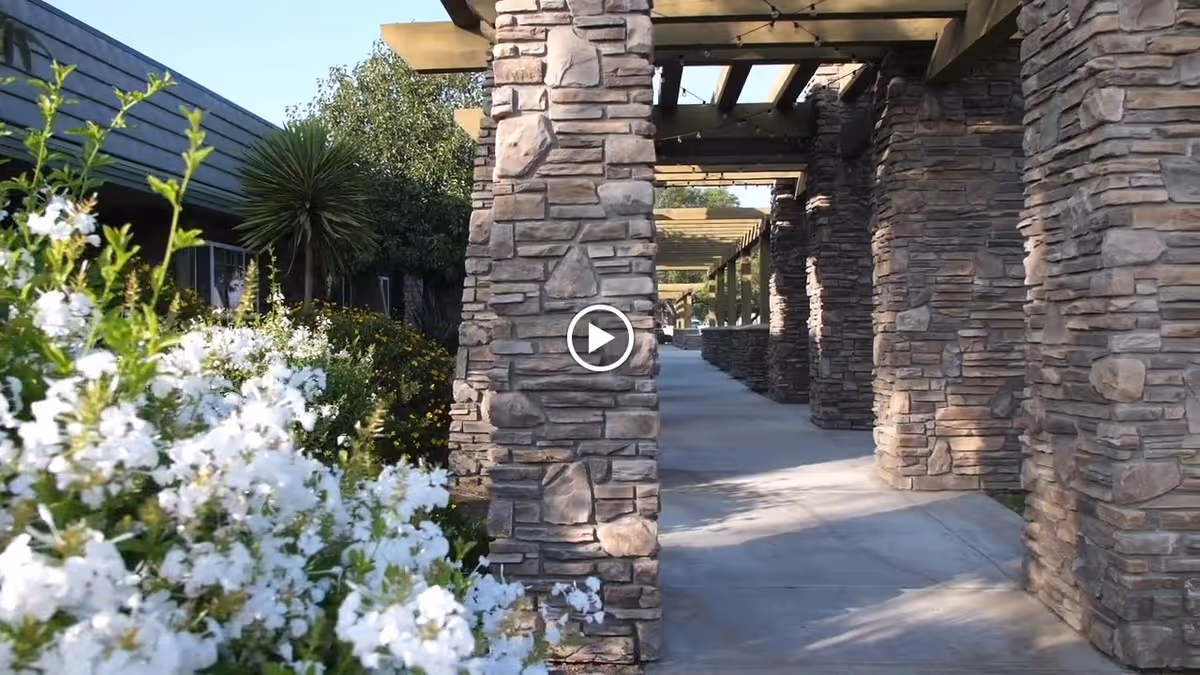 Outdoor walkway with stone pillars and a pergola overhead, surrounded by green plants and white flowers on the left side.