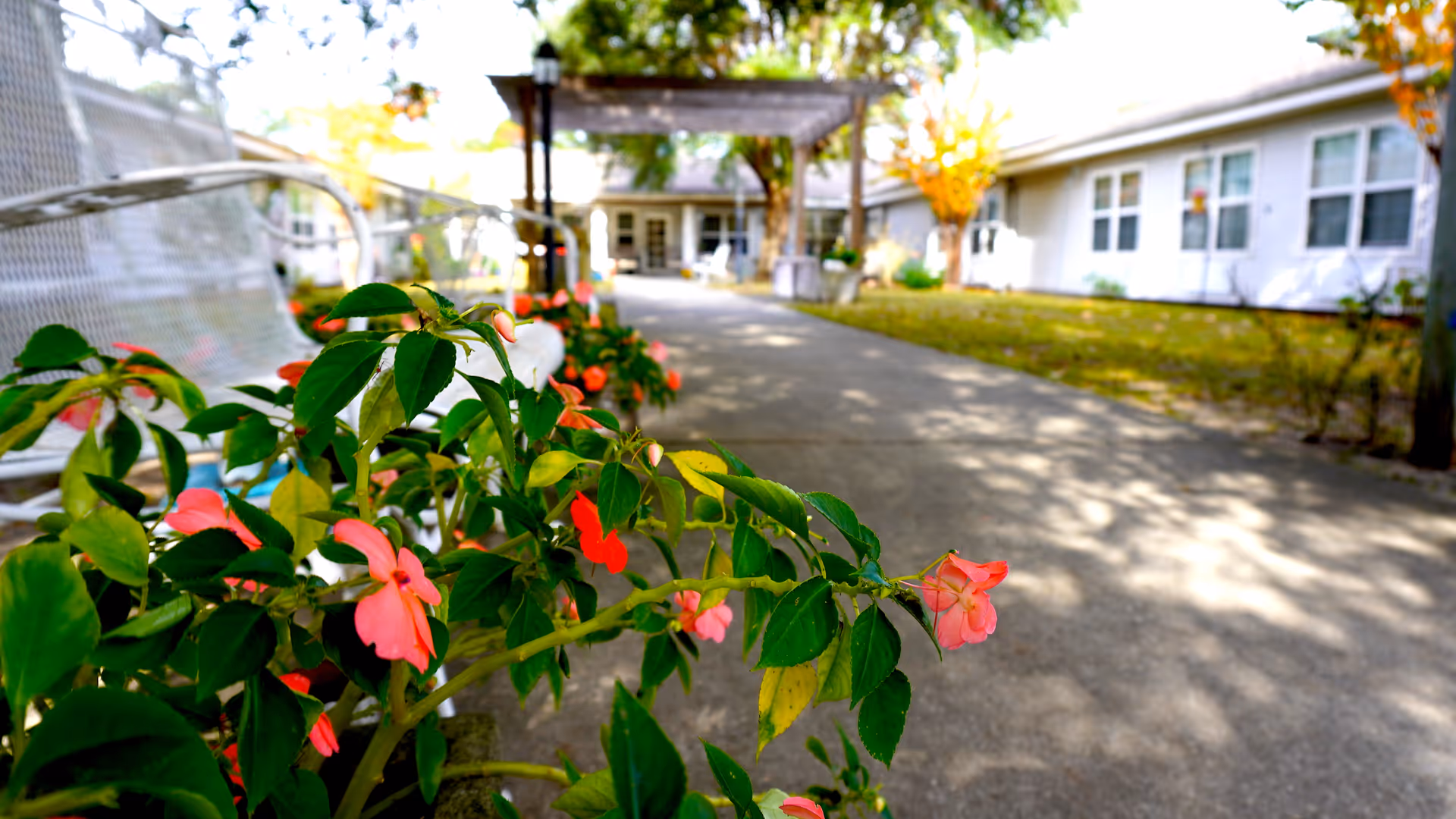 Close-up of pink flowers and green leaves in the foreground with a paved walkway, white benches, and a pergola leading to a white building in the background under sunlight.