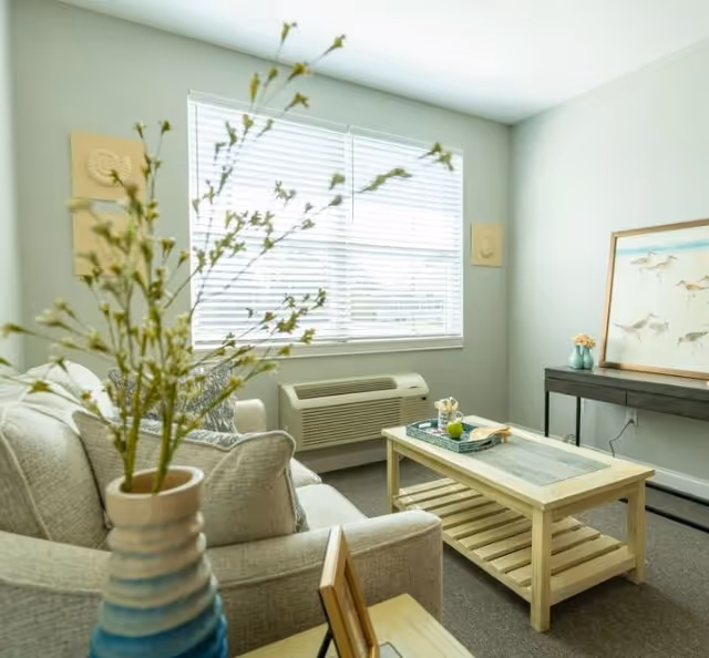 A bright living room with a sofa, coffee table, large window with blinds, wall art, and a potted plant in the foreground.
