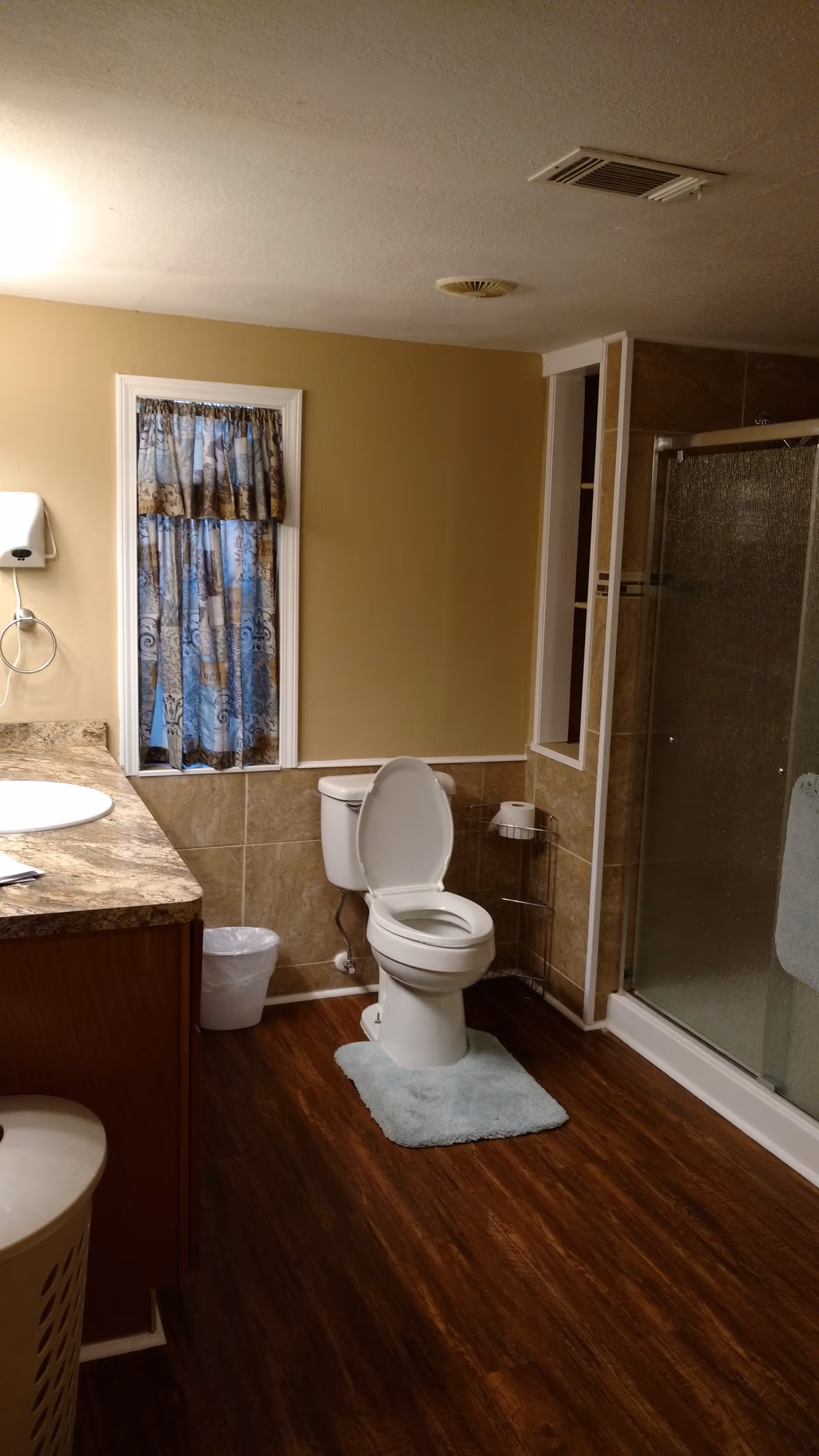 Bathroom with a toilet on a small rug, a countertop sink vanity, glass shower, and wood-look flooring.