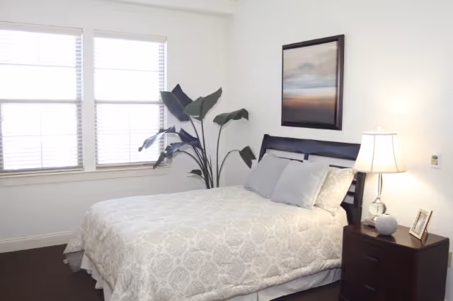 Simple bedroom with a bed dressed in patterned bedding, a nightstand and lamp, framed artwork, a potted plant, and a large window with blinds.