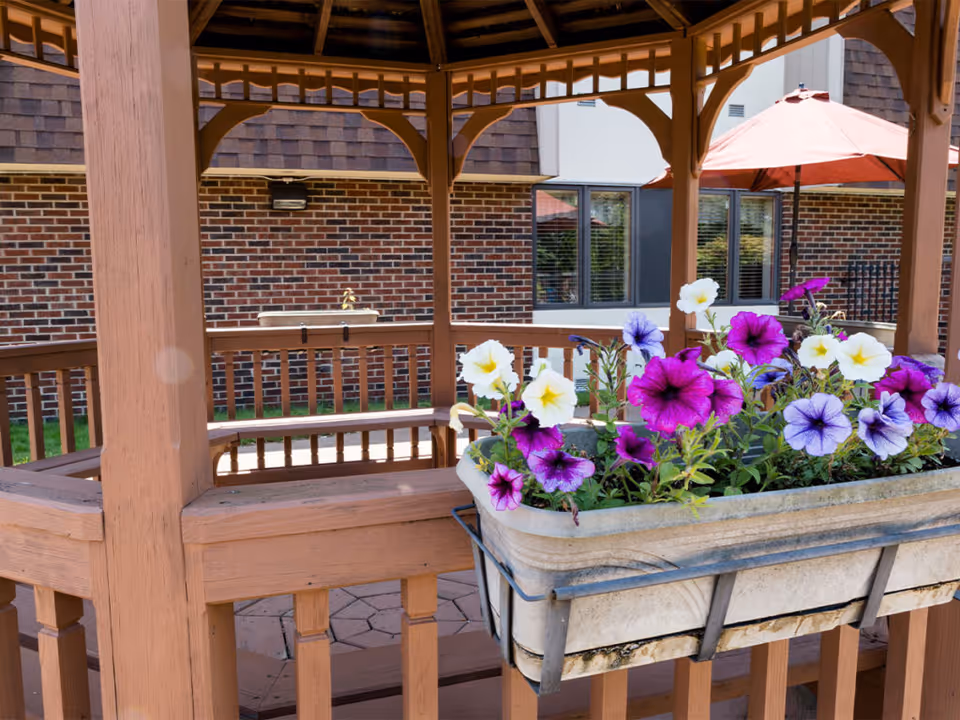 Wooden gazebo in a courtyard with a planter of purple and white petunias and a brick building in the background.