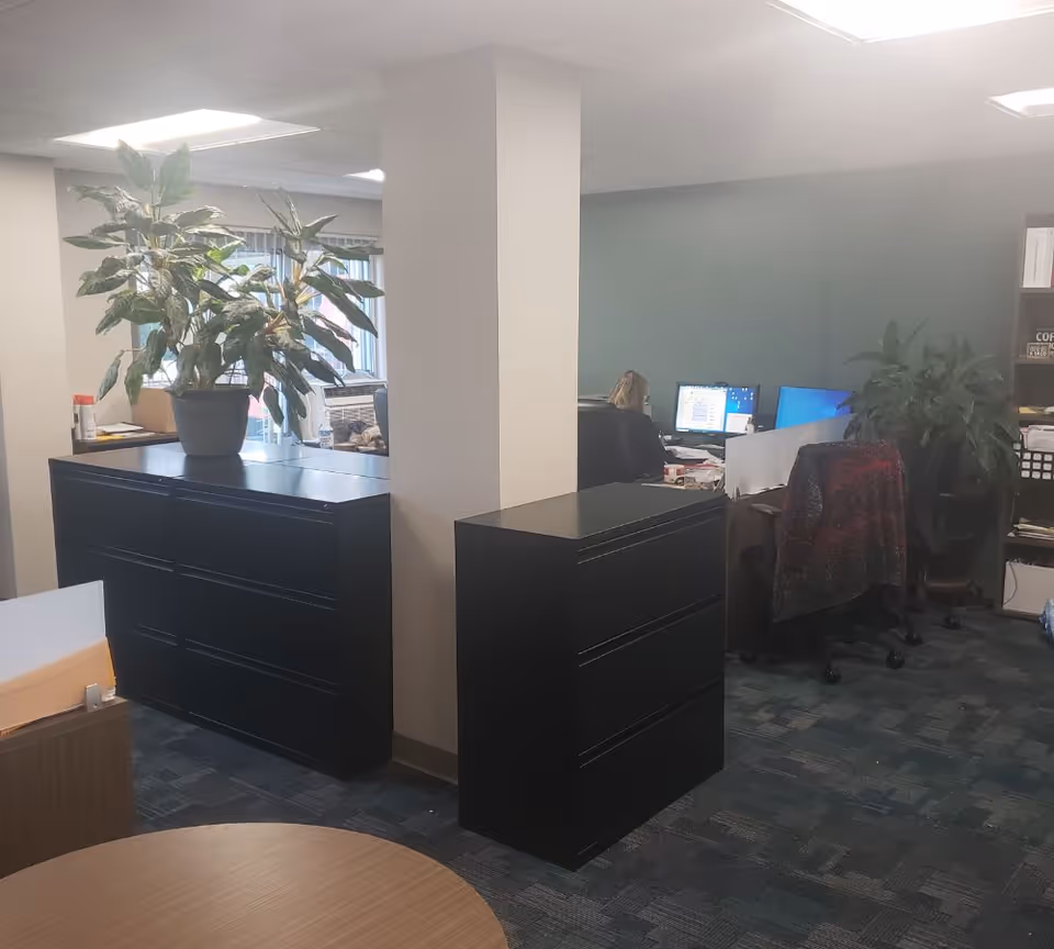 Office interior with black filing cabinets, potted plants, desks and a person working at a computer.