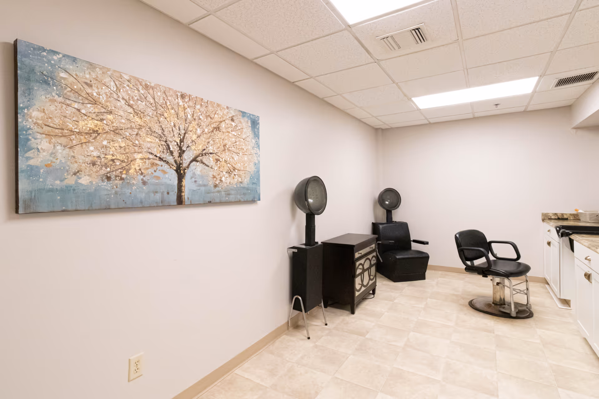 Interior view of a salon area in a senior living facility with two black hair dryer chairs, a black salon chair, a small cabinet, white cabinets with a countertop, and a large painting of a tree on the wall.