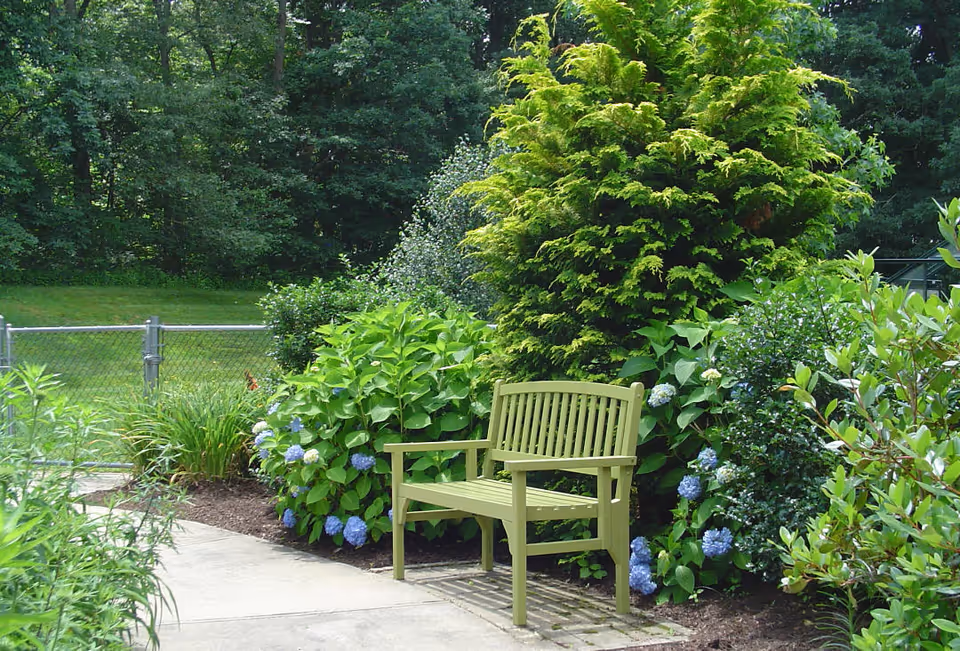 A green wooden bench sits on a paved area surrounded by lush green bushes and flowering plants with blue blossoms. Behind the bench, there is a tall bushy tree and a chain-link fence with a grassy area and dense trees in the background.