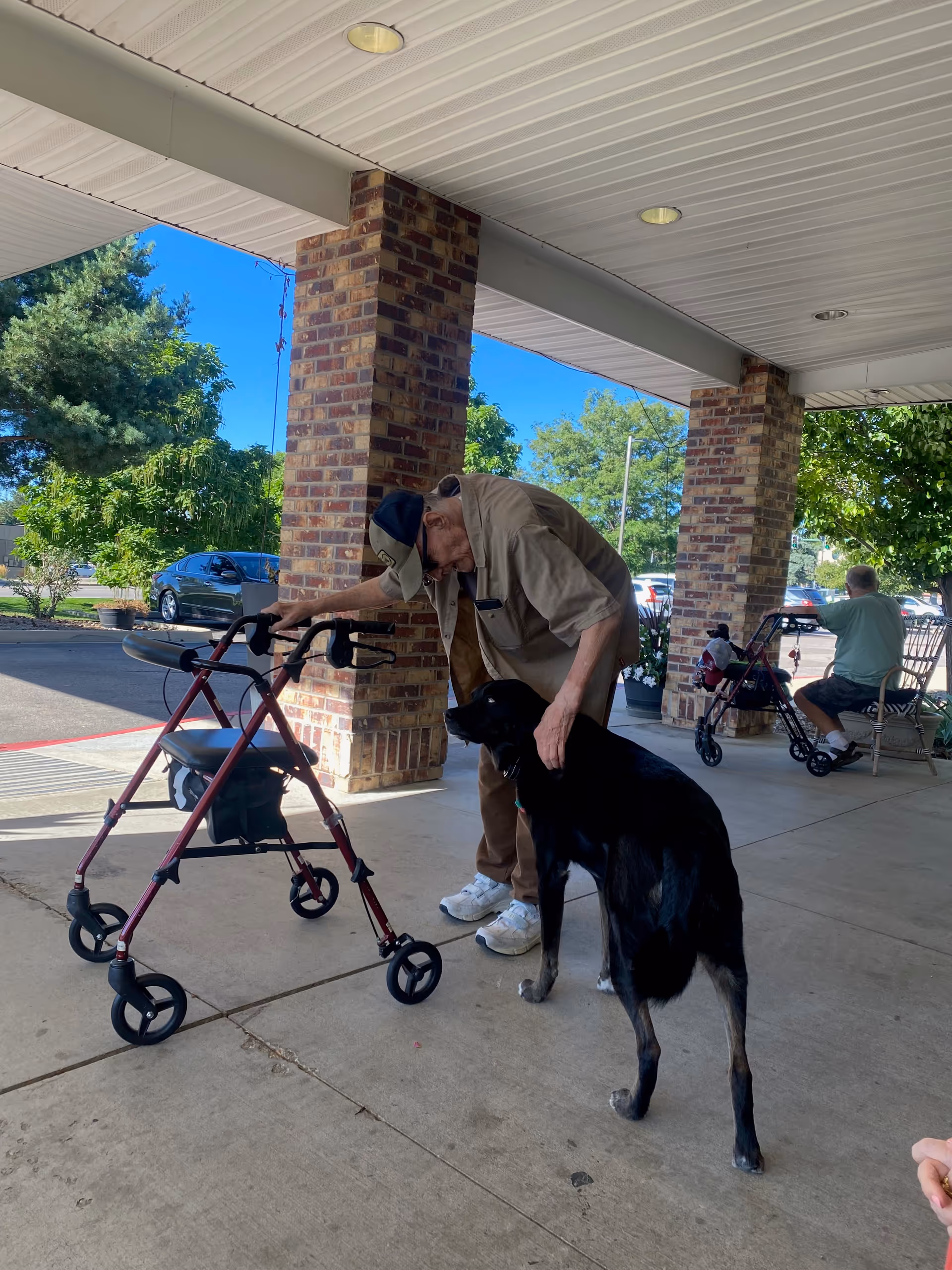 An elderly man using a walker is bending down to pet a large black dog under a covered outdoor area with brick pillars. Another elderly man is sitting on a chair nearby with a walker beside him. Trees and parked cars are visible in the background.