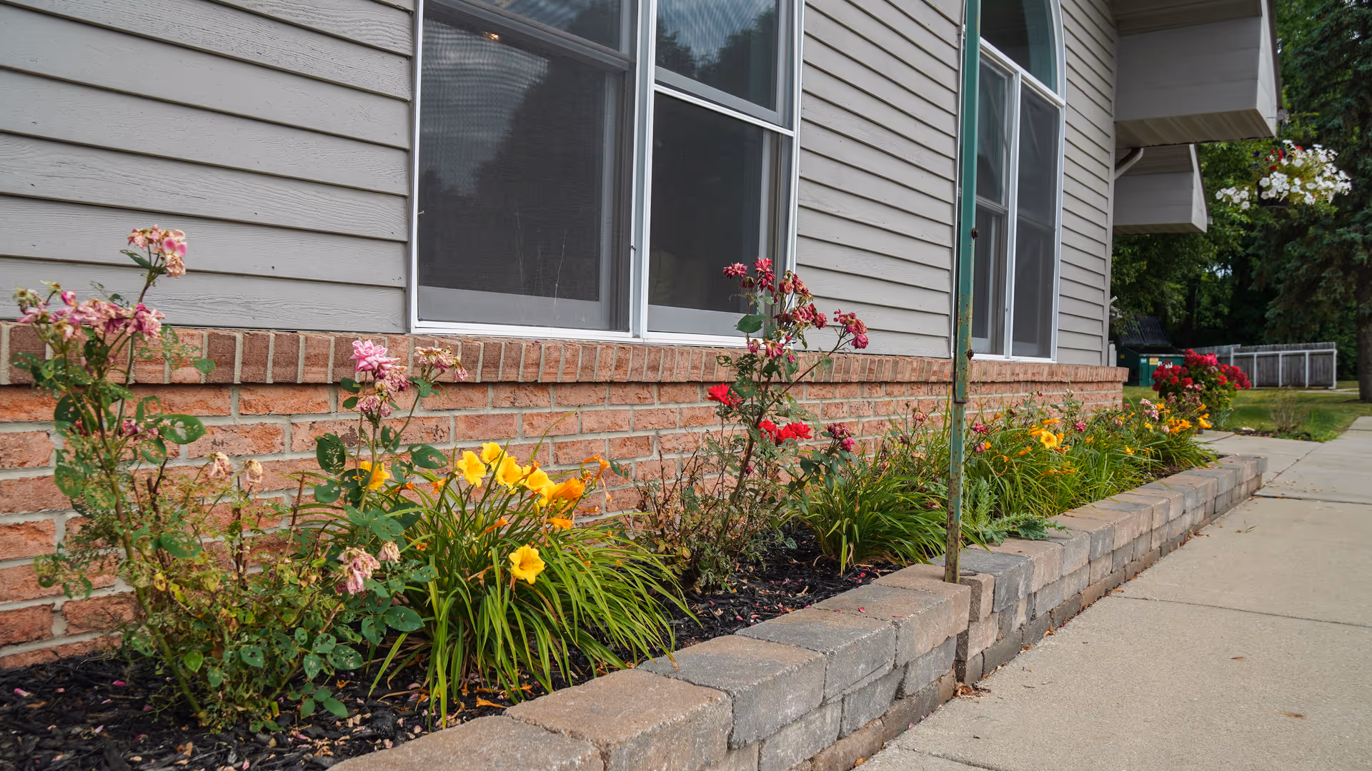 A flower bed with various colorful flowers including yellow and red blooms, bordered by a low stone wall, situated alongside the exterior wall of a building with beige siding and brick trim. There are two windows and a green door visible on the building, with a concrete sidewalk running parallel to the flower bed.