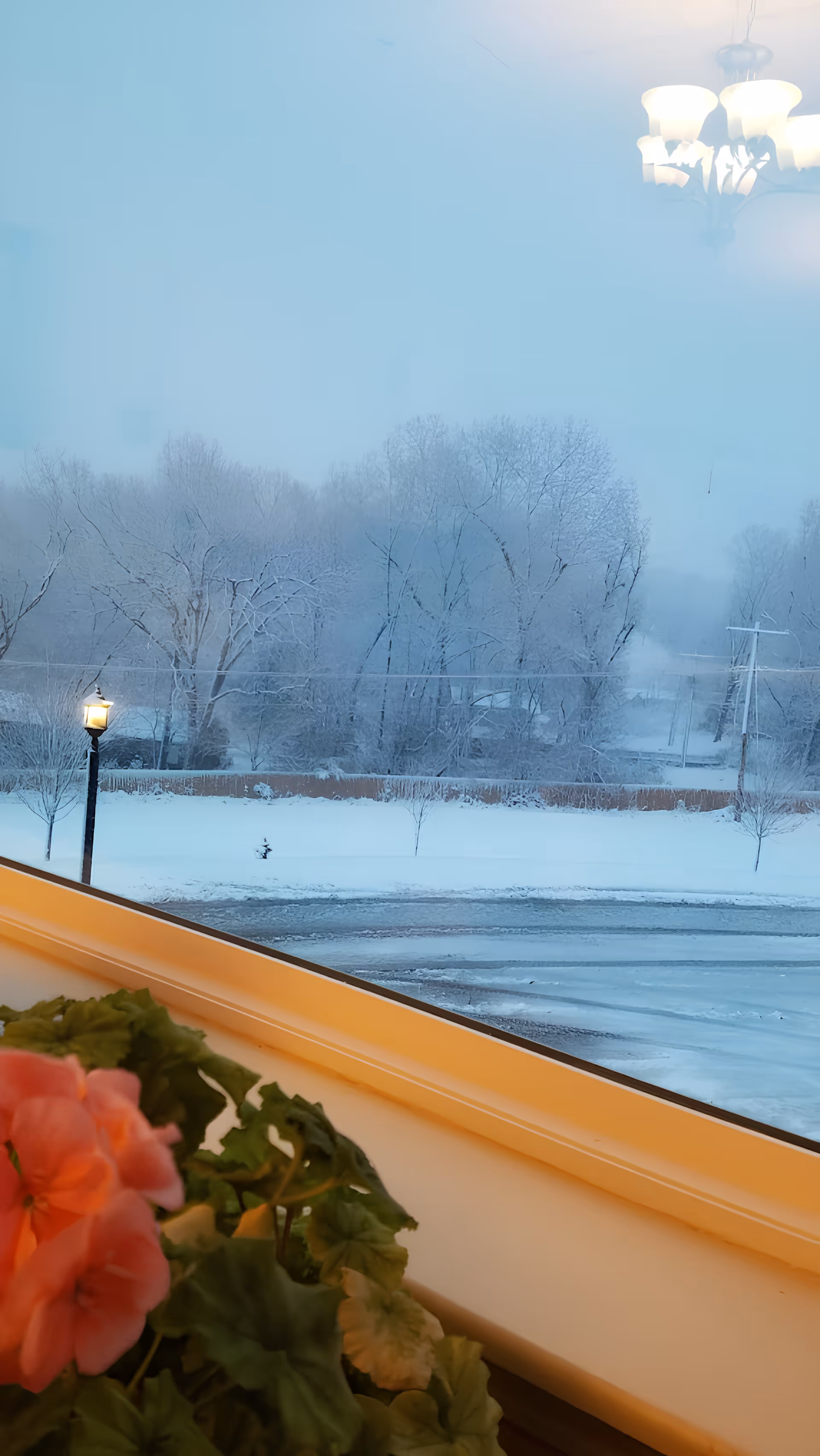 View through a window showing a snowy outdoor scene with leafless trees and a streetlamp lit in the early morning or evening. A pink flower plant is visible on the windowsill inside the room, and a chandelier light fixture is reflected in the window glass.