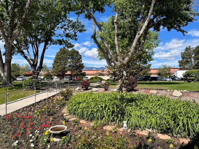 A landscaped garden area with a variety of plants and flowers, a circular flower bed surrounded by stones, several large trees, a paved walkway with a handrail, and a parking lot with cars and buildings in the background under a blue sky with scattered clouds.