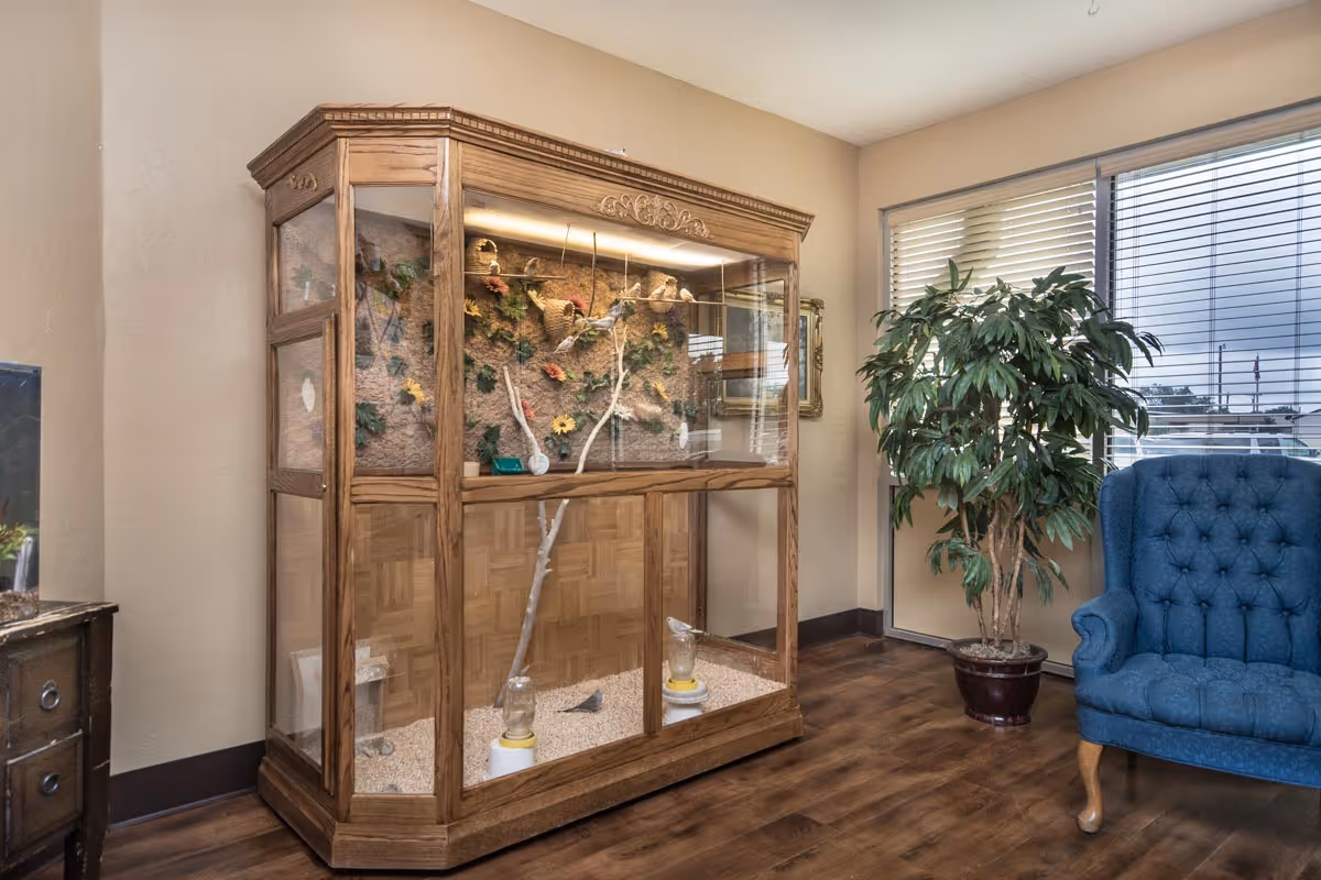 A cozy interior corner of a room featuring a large wooden birdcage with decorative birds and branches inside. Next to the birdcage is a green potted plant and a blue upholstered armchair. The room has wooden flooring and beige walls, with a window covered by horizontal blinds letting in natural light.