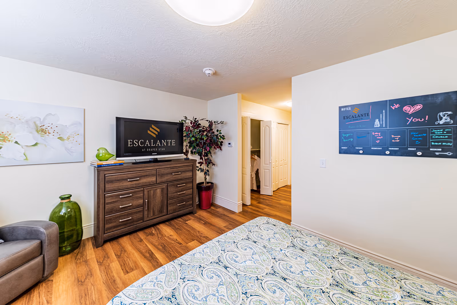Bright furnished bedroom with a patterned bedspread, wooden dresser holding a TV that reads 'Escalante', a potted plant, and an open doorway to a closet.