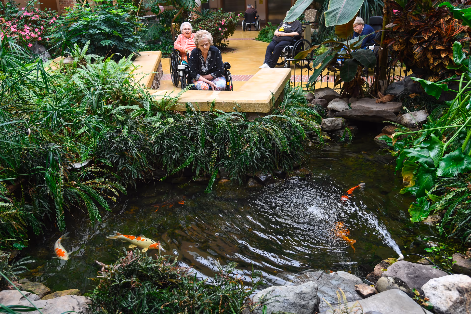 Residents in wheelchairs sit by an indoor koi pond surrounded by lush plants.