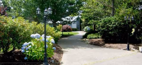 A paved outdoor walkway flanked by hydrangeas and trees leads to a building entrance.