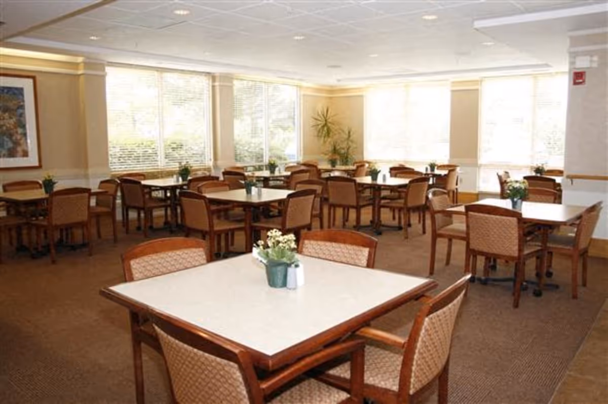A bright dining room with multiple square tables and wooden chairs arranged neatly. Each table has a small potted plant centerpiece. Large windows with blinds allow natural light to fill the room. The walls are light-colored with a framed picture and some plants in the corners.