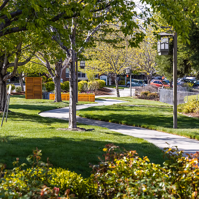 Sunlit winding sidewalk through landscaped grounds with trees, lamp posts, raised planters and a building in the background.