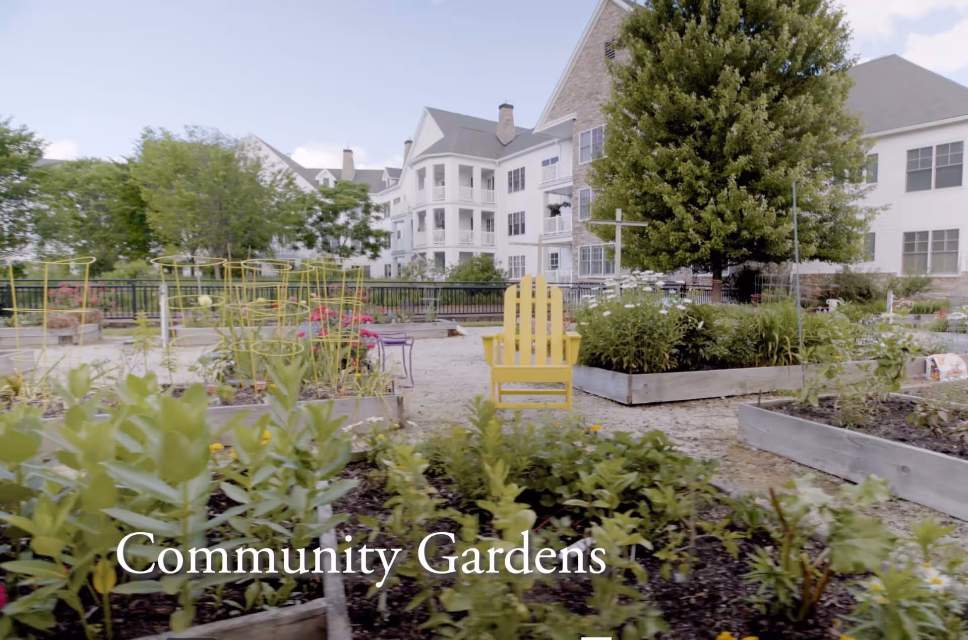 Community garden with raised planting beds filled with various plants and flowers, a yellow Adirondack chair in the center, and a large tree in the background. Behind the garden is a multi-story senior living building with white siding and balconies.