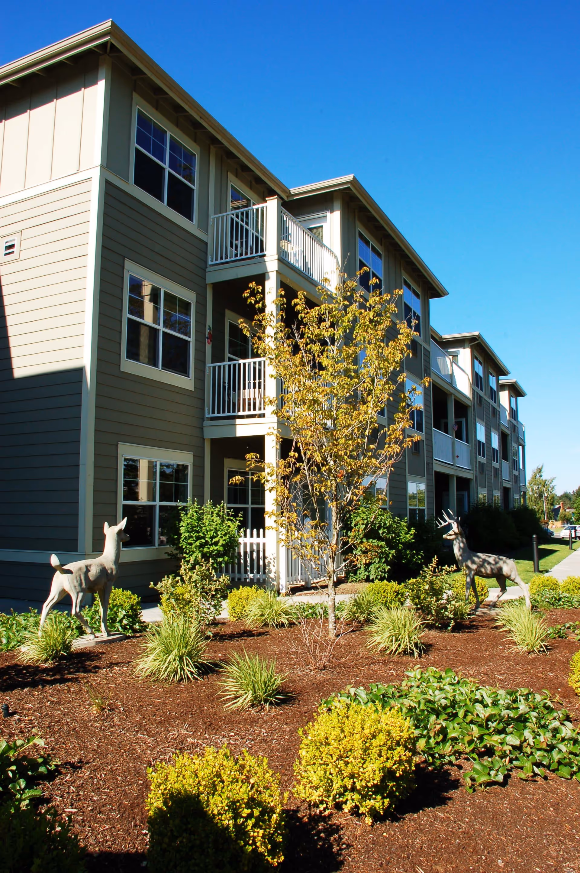 Exterior view of a multi-story senior living facility building with beige siding and white balconies. The foreground features landscaped garden beds with various shrubs, plants, and two decorative deer statues. The sky is clear and blue.