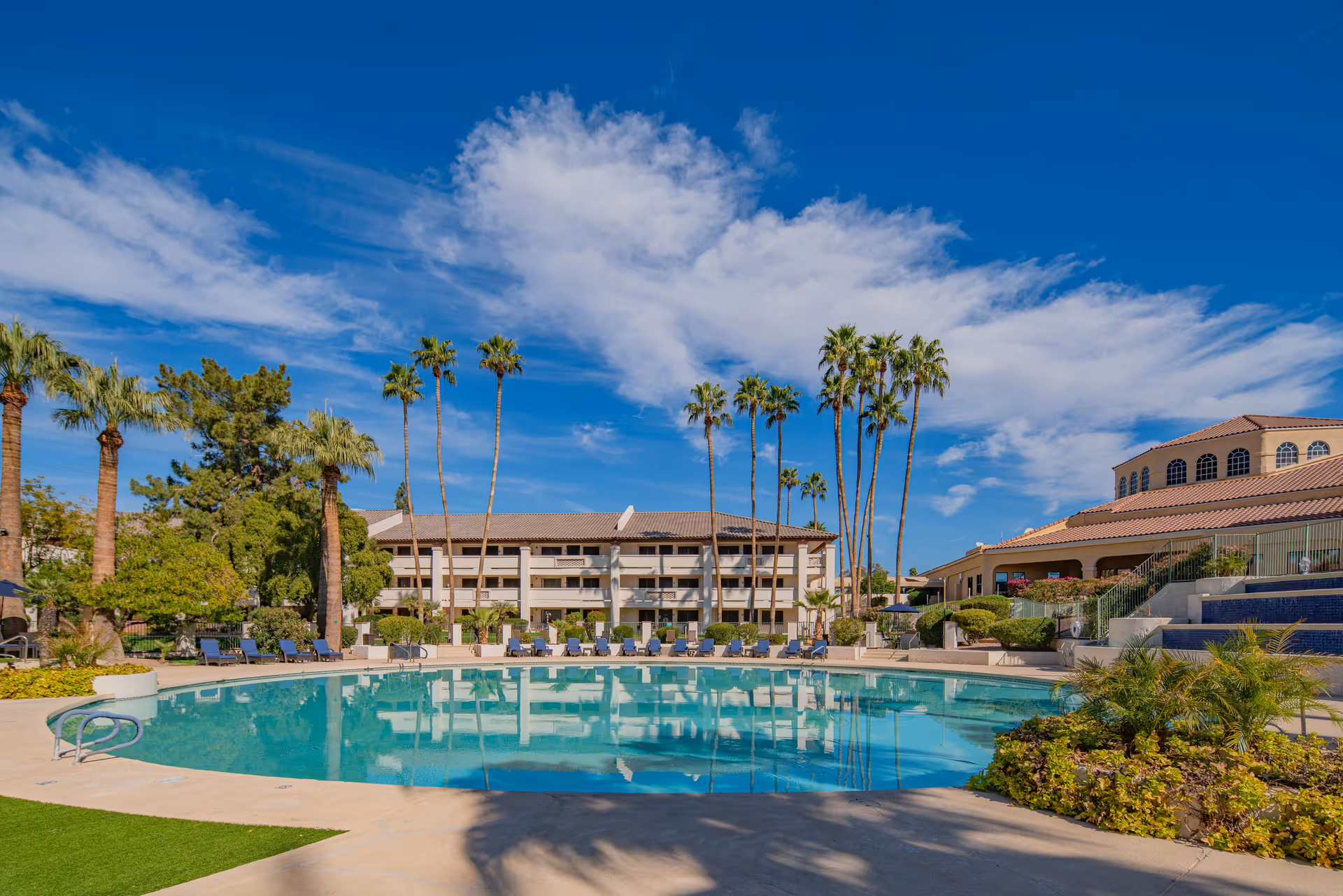 Outdoor swimming pool surrounded by lounge chairs and palm trees with a multi-story building and clear blue sky in the background at Park Terrace by Cogir.