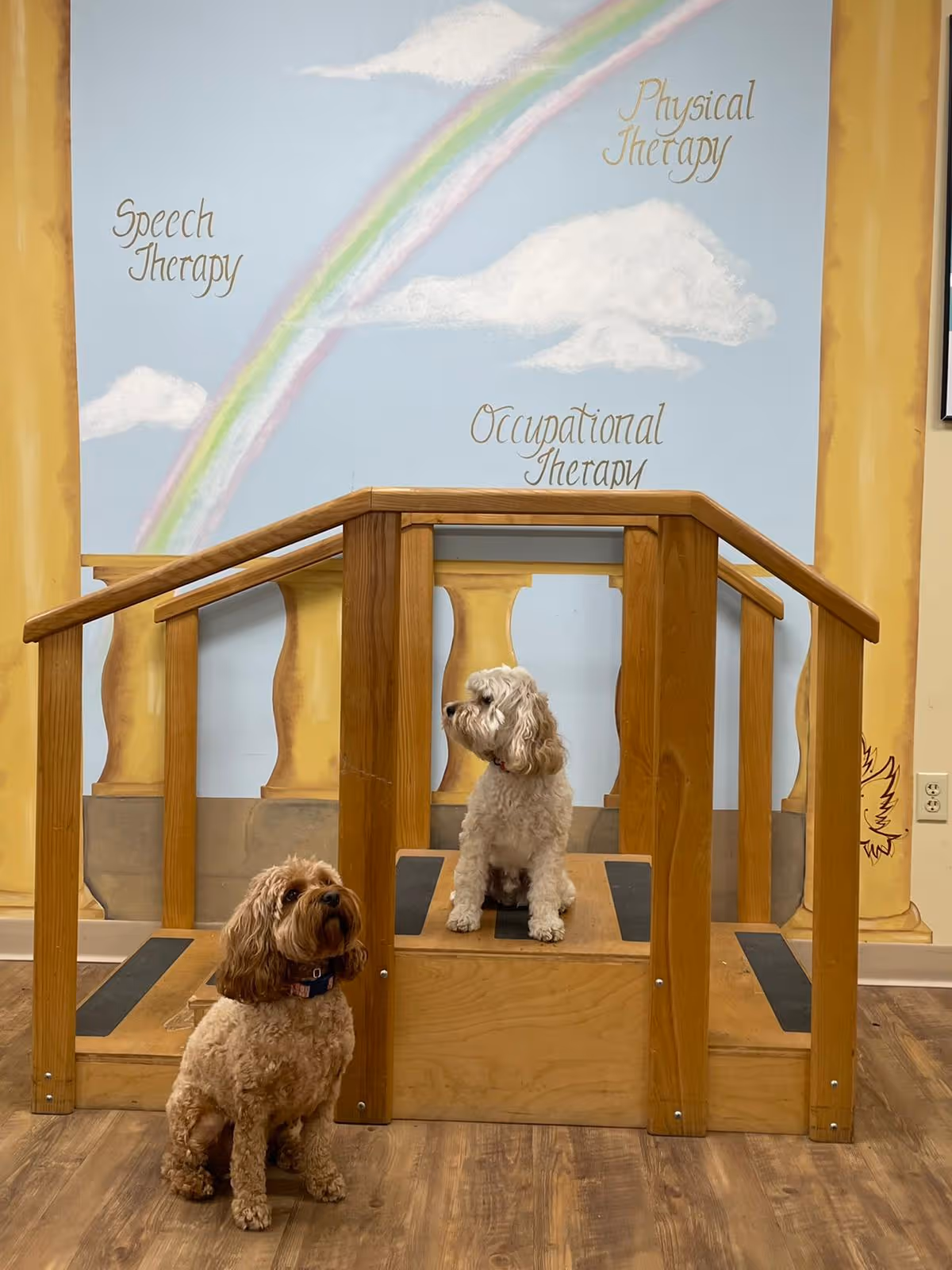Two small dogs sit on and beside a wooden therapy ramp in a room with a rainbow mural labeled speech, physical, and occupational therapy.