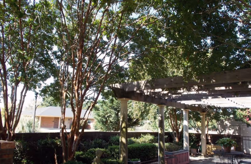 Outdoor garden area with trees, shrubs, and a wooden pergola providing partial shade over a seating area with potted plants and garden furniture.