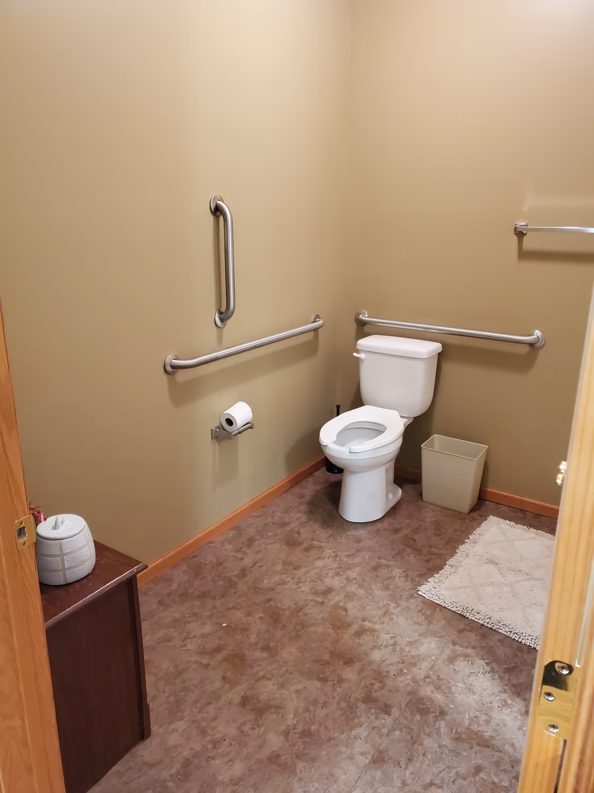 Small accessible bathroom with a toilet, horizontal and vertical grab bars, a waste bin, toilet paper holder, and a rug on a brown floor.